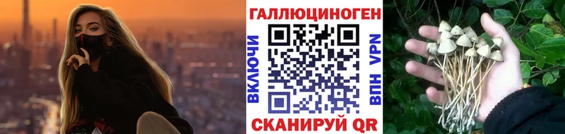 Купить где  Спасск-Рязанский  Псилоцибиновые грибы MAGIC MUSHROOMS 